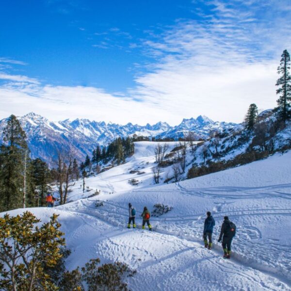 SHIMLA MANALI DALHOUSI DHARAMSHALA 8 Night 9 Days